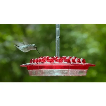 ❤️Mother's Day Sale 49% OFF-🐦Hummingbird Feeder With Perch And Built-in Ant Moat